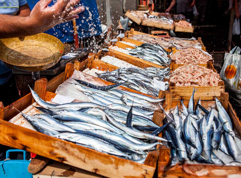 Selezione di pesce al banco